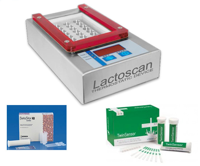 1650338514168040.jpg TET-內容.jpg