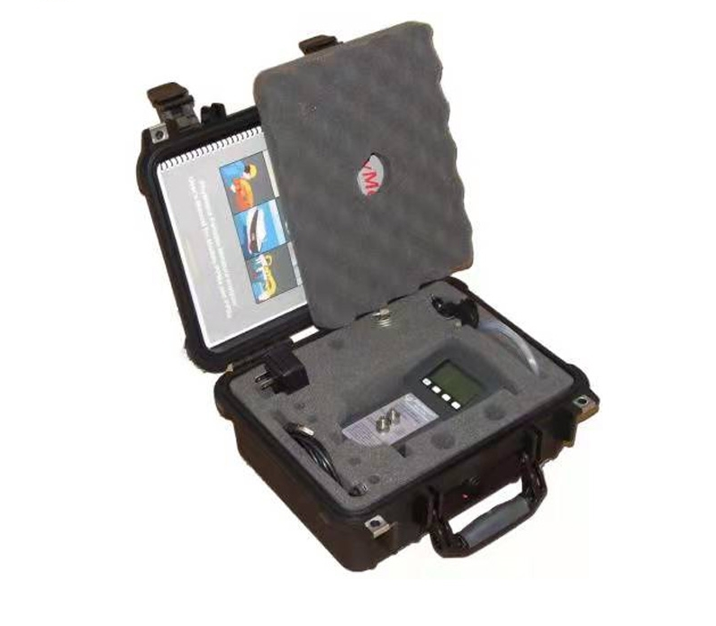 DPT-500手持式露點儀